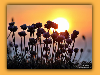 Sonnenuntergang in der Jammerbucht (5).jpg